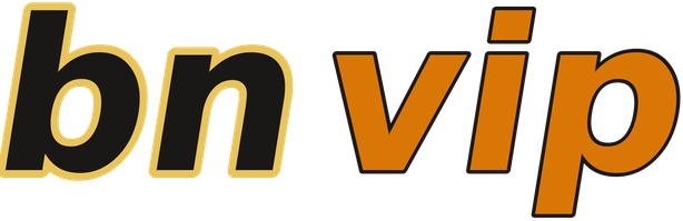 bnvip logo